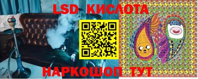 ПСИЛОЦИБИНОВЫЕ ГРИБЫ Новокубанск