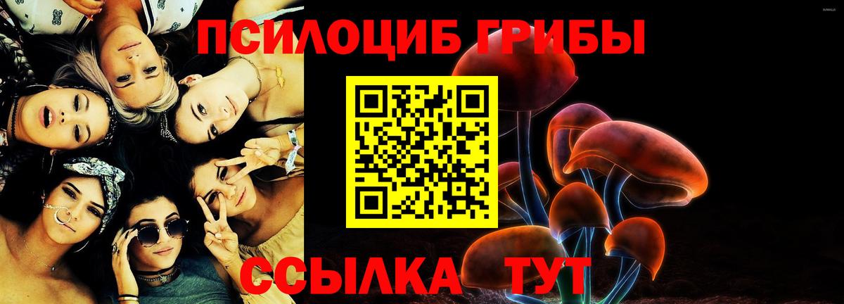 Галлюциногенные грибы Psilocybine cubensis  Вход с VPN  Галлюциногенные грибы GOLDEN TEACHER  наркошоп  Тихорецк 